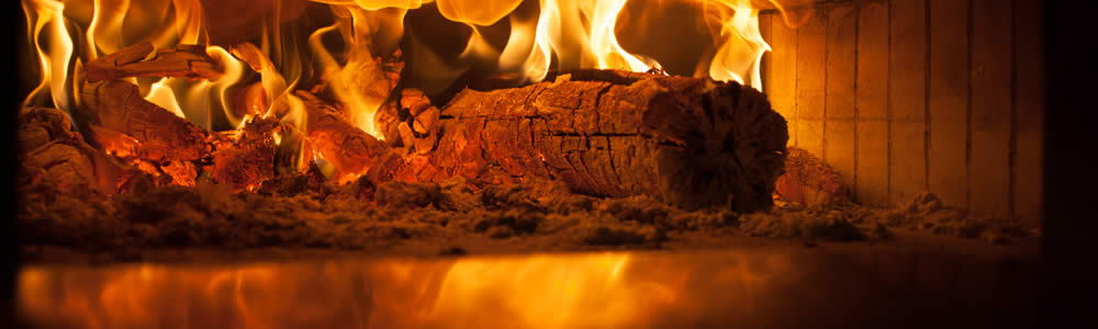Riot Rye Wood-Fired Masonary Oven The riot rye Oven