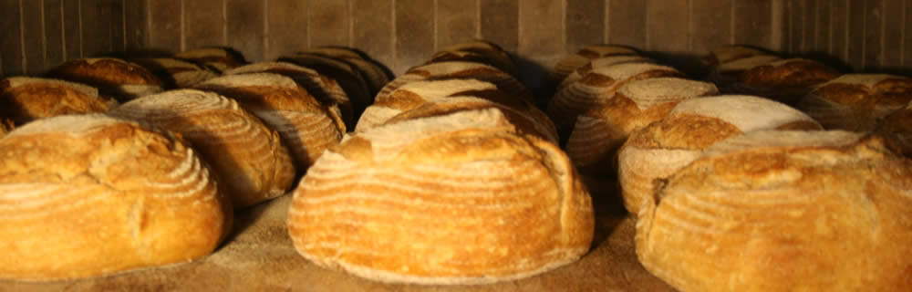 Riot Rye Wood-Fired Masonary Oven The riot rye Oven