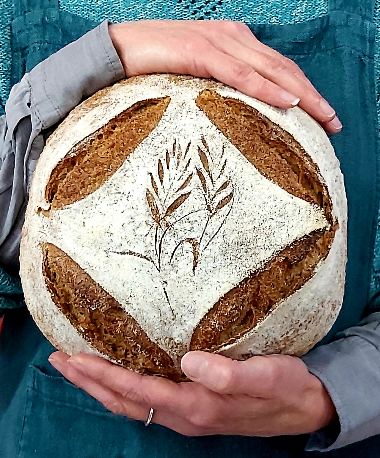 pain de campagne course shot Sourdough Course Level 3