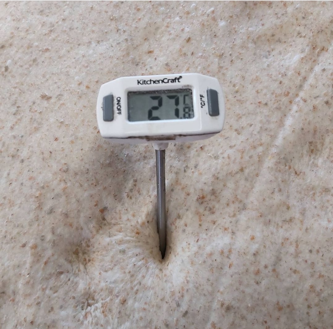 Dough temperature Riot Rye Dough temperature with thermometer Riot Rye