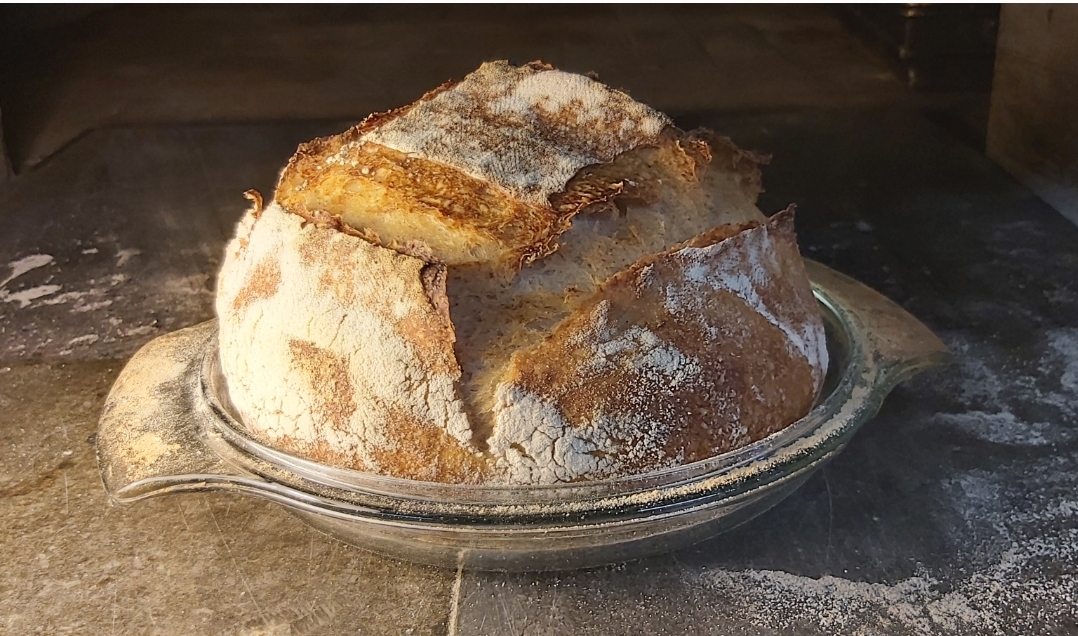 Riot Rye Common Loaf Sourdough