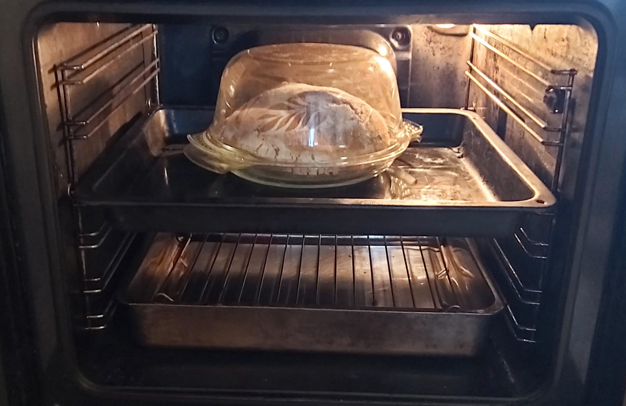 Pyrex Dish in Domestic Oven Riot rye